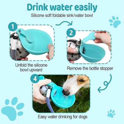 Portable Dog Water Bottle – Stainless Steel Travel Bottle for Pets
